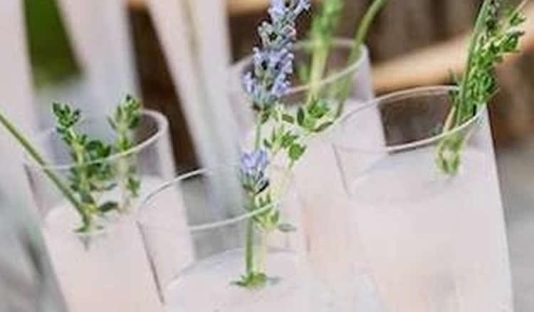 5 boissons incroyables à servir à votre mariage