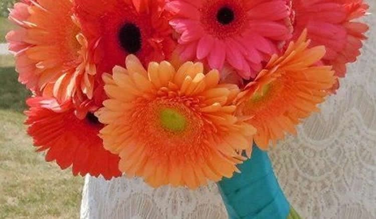 Las 7 mejores ideas de flores increíbles para bodas en agosto