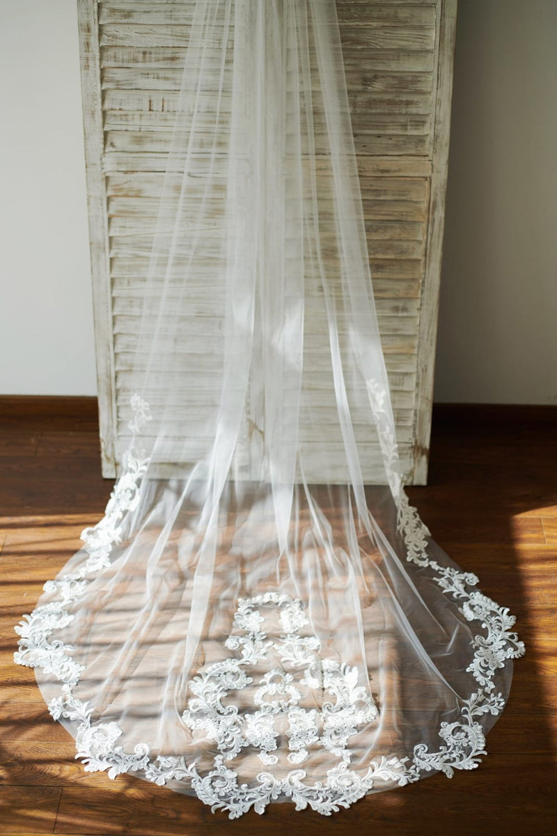 Stunning Tulle Veil with Corded Lace Applique main image 0