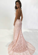 Column V Neck Straps Backless Sleeveless Fishtail Court Pink Lace Evening Dress