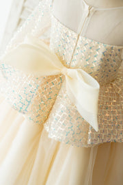 Long Sleeves Champagne Sequin Tulle Hi Low Wedding Flower