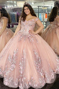 Glitter Pink 3D Floral Lace Off Shoulder Ball Gown Quinceanera Dress