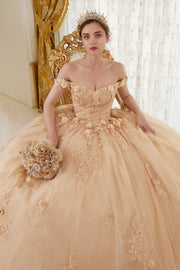 Long Floral Ball Gown Glitter Quinceañera Dress