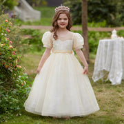 Vestido de fiesta de tul con lentejuelas y mangas abullonadas, vestido de niña de flores para fiesta de boda de princesa rosa