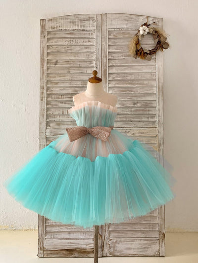 Princess Sheer Neck Pink / Blue Tulle Wedding Flower Girl 